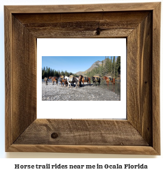 horse trail rides near me in Ocala, Florida